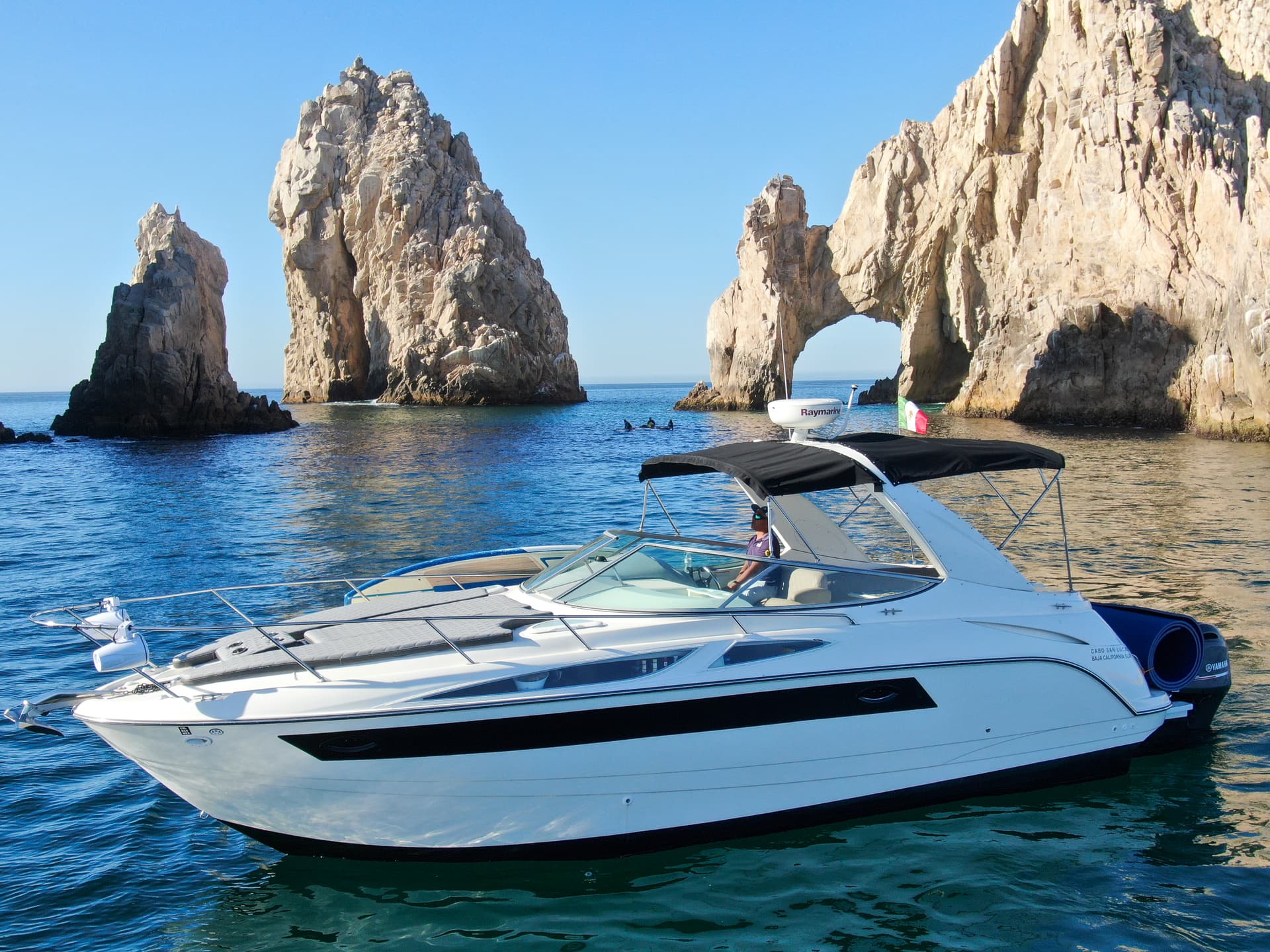 Bayliner 35ft — yacht charter in Cabo San Lucas — photo 2
