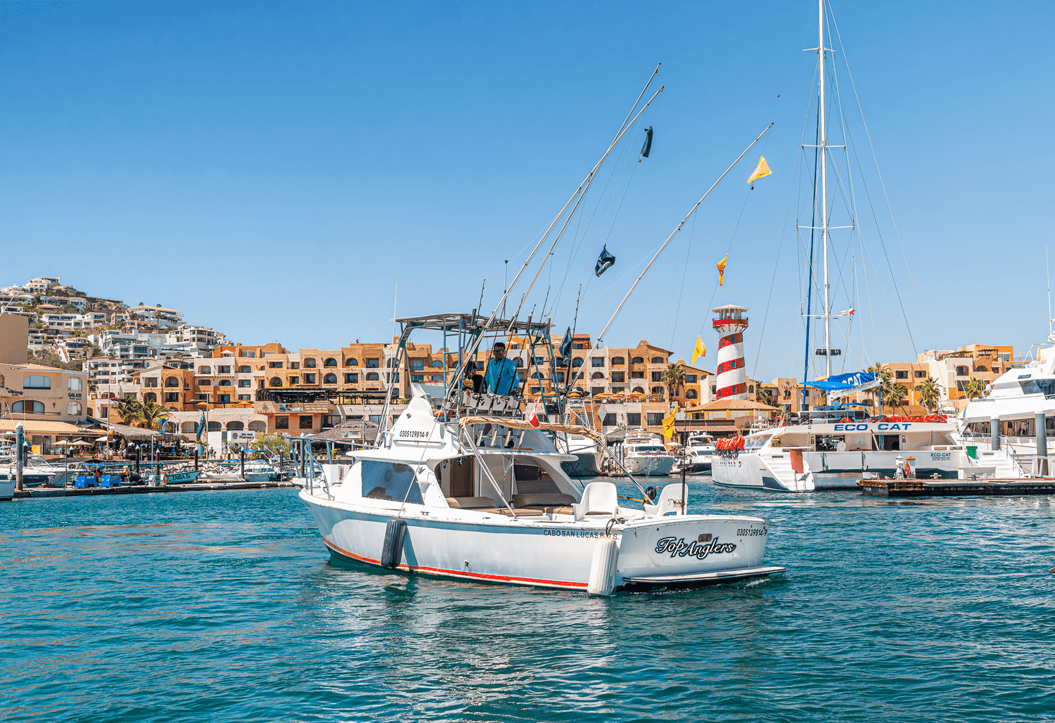 31ft Bertram sportfishing boat in Cabo San Lucas