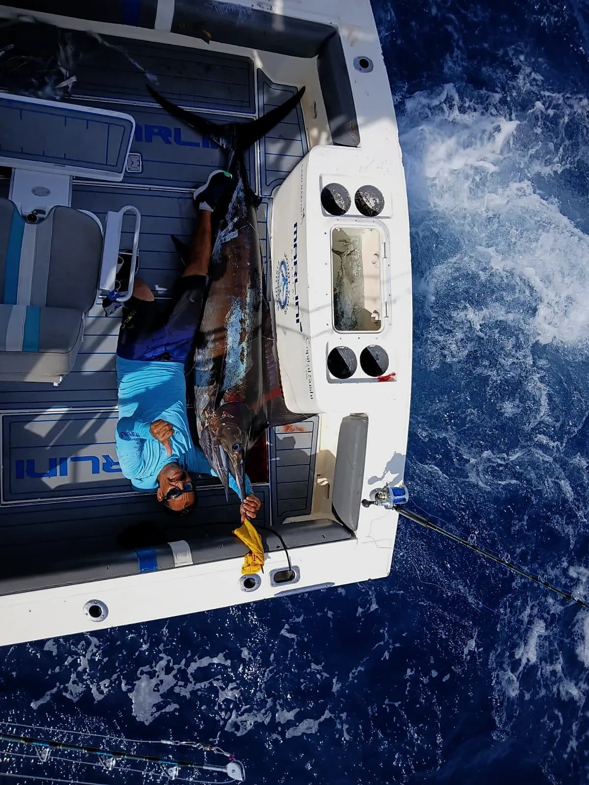 Descubre los Mejores Lugares para Pescar desde la Orilla en Cabo San Lucas para 2026
