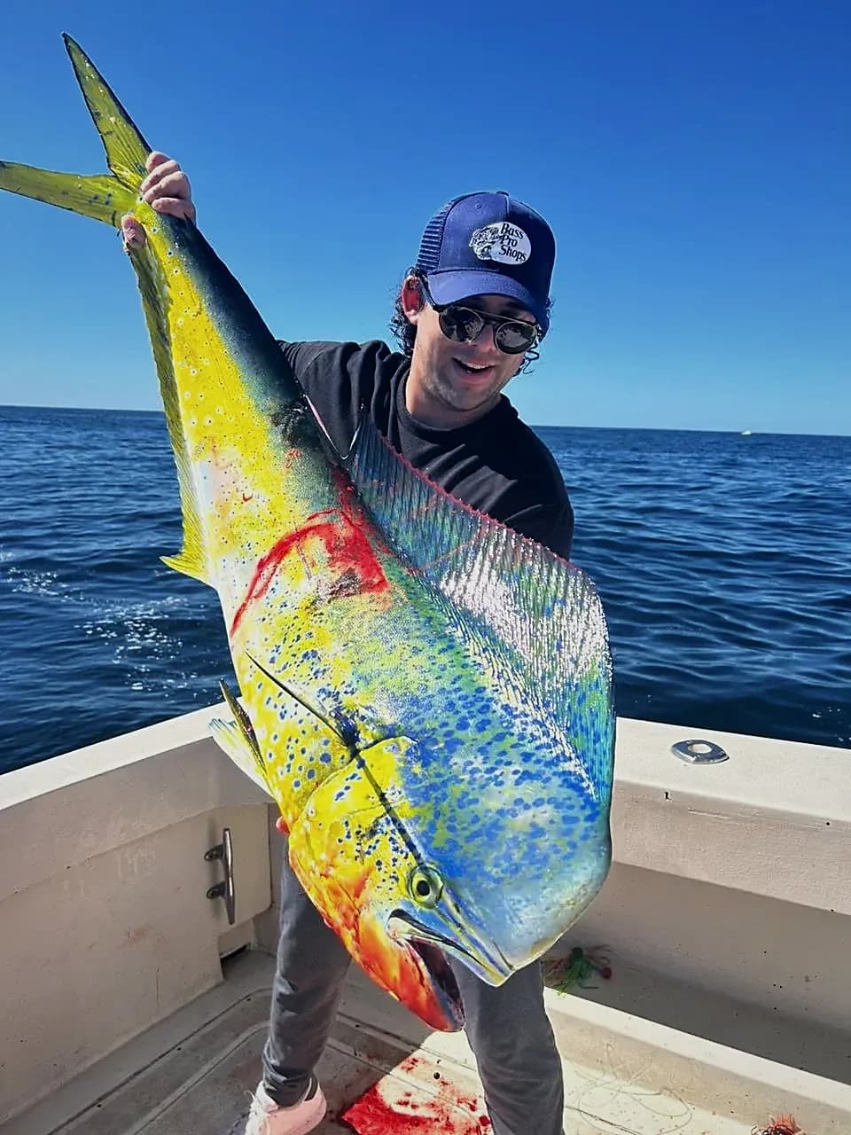 Hook Your Dream Catch: The Best Fishing Charters Cabo San Lucas 2026