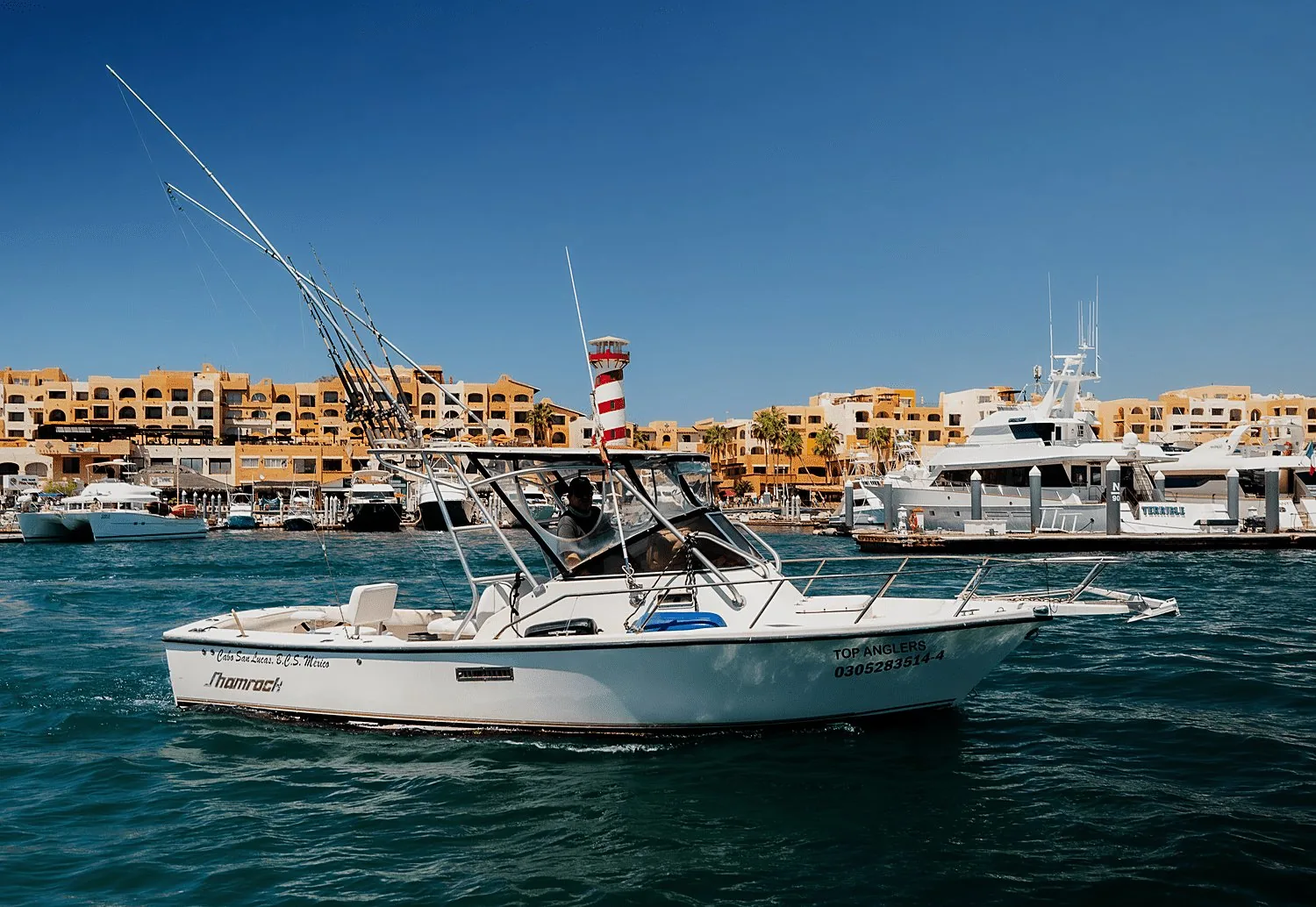 26ft Shamrock fishing charter in Cabo San Lucas, photo 2