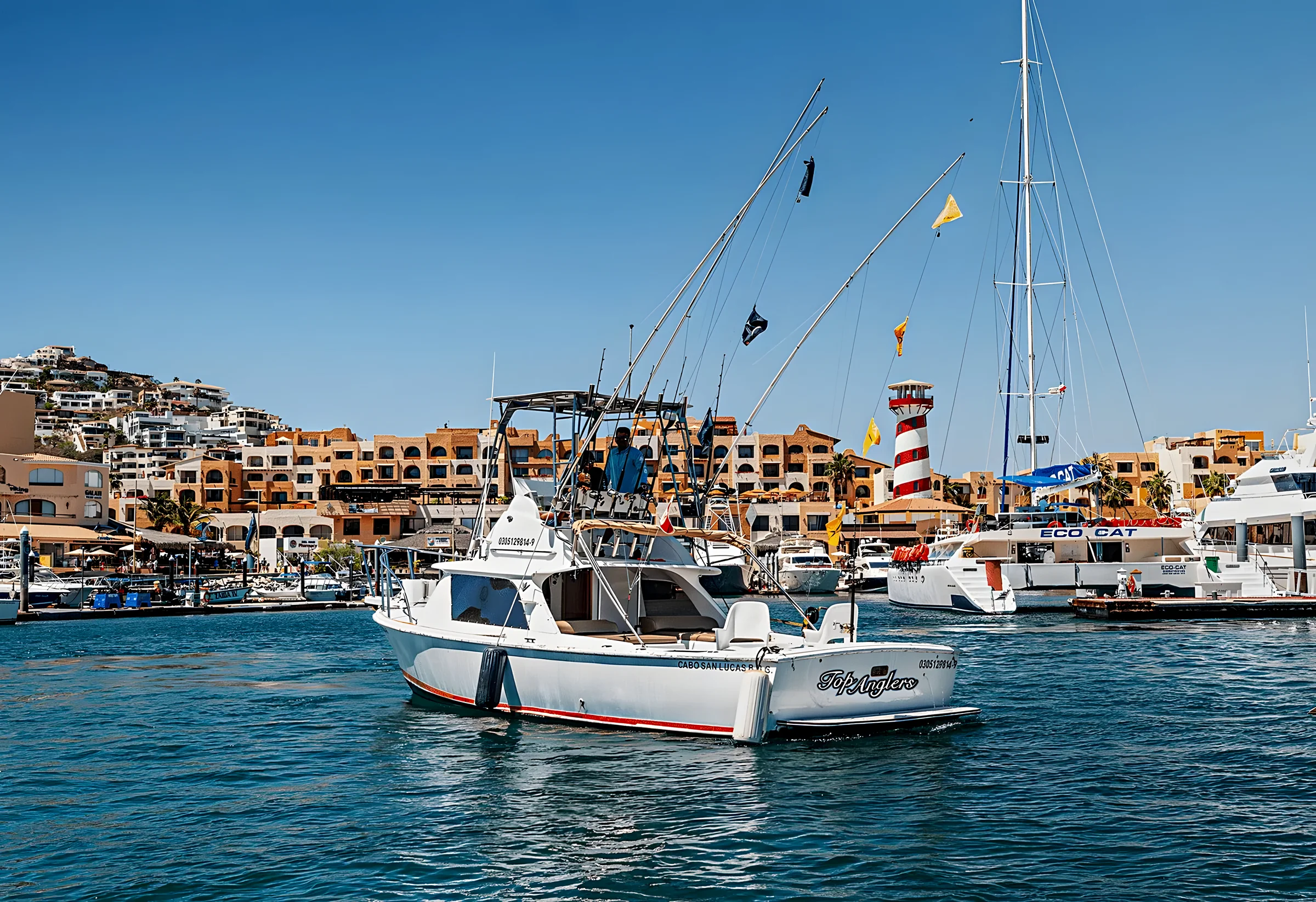 31ft Bertram
