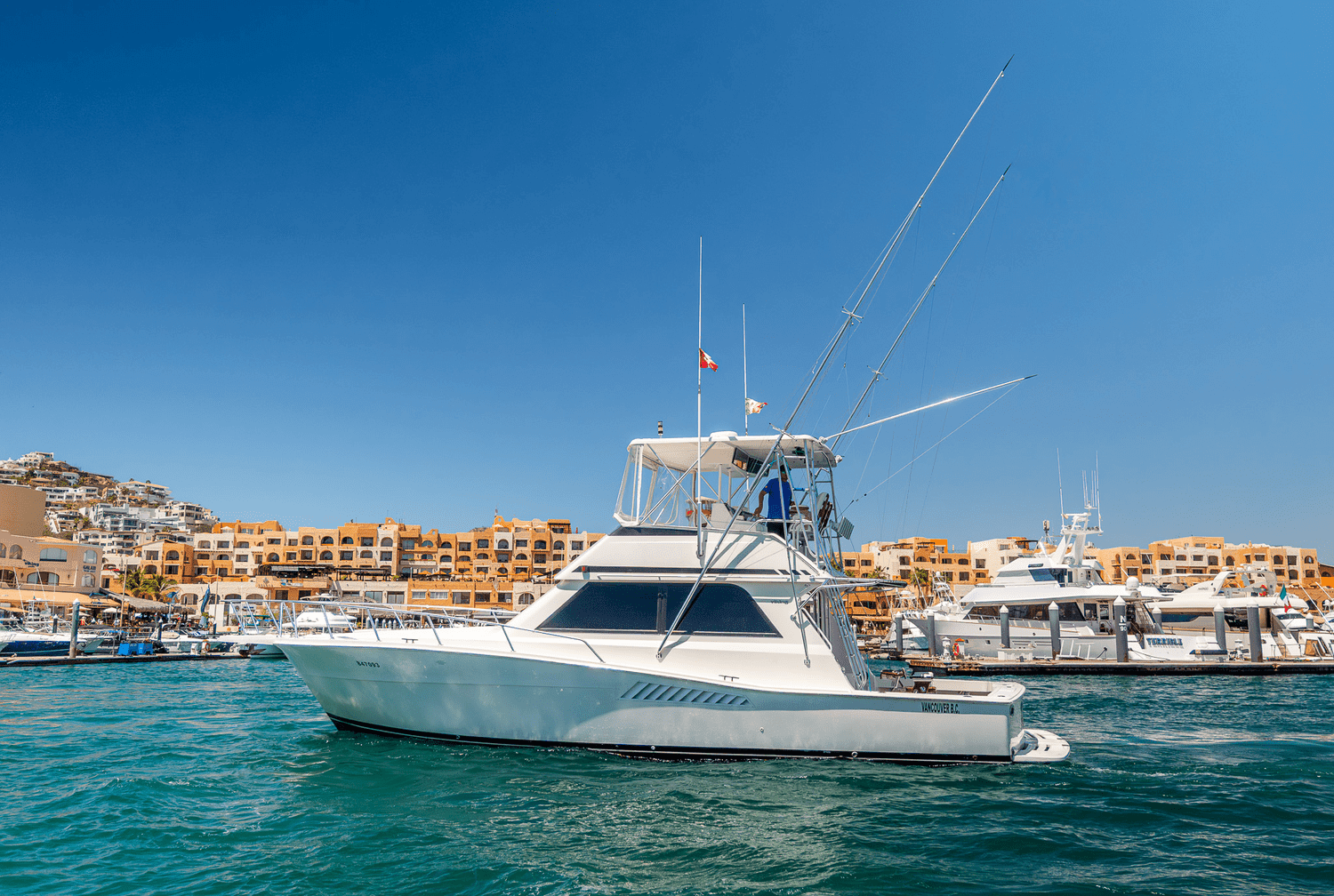 44ft Viking — sportfishing charter in Cabo San Lucas