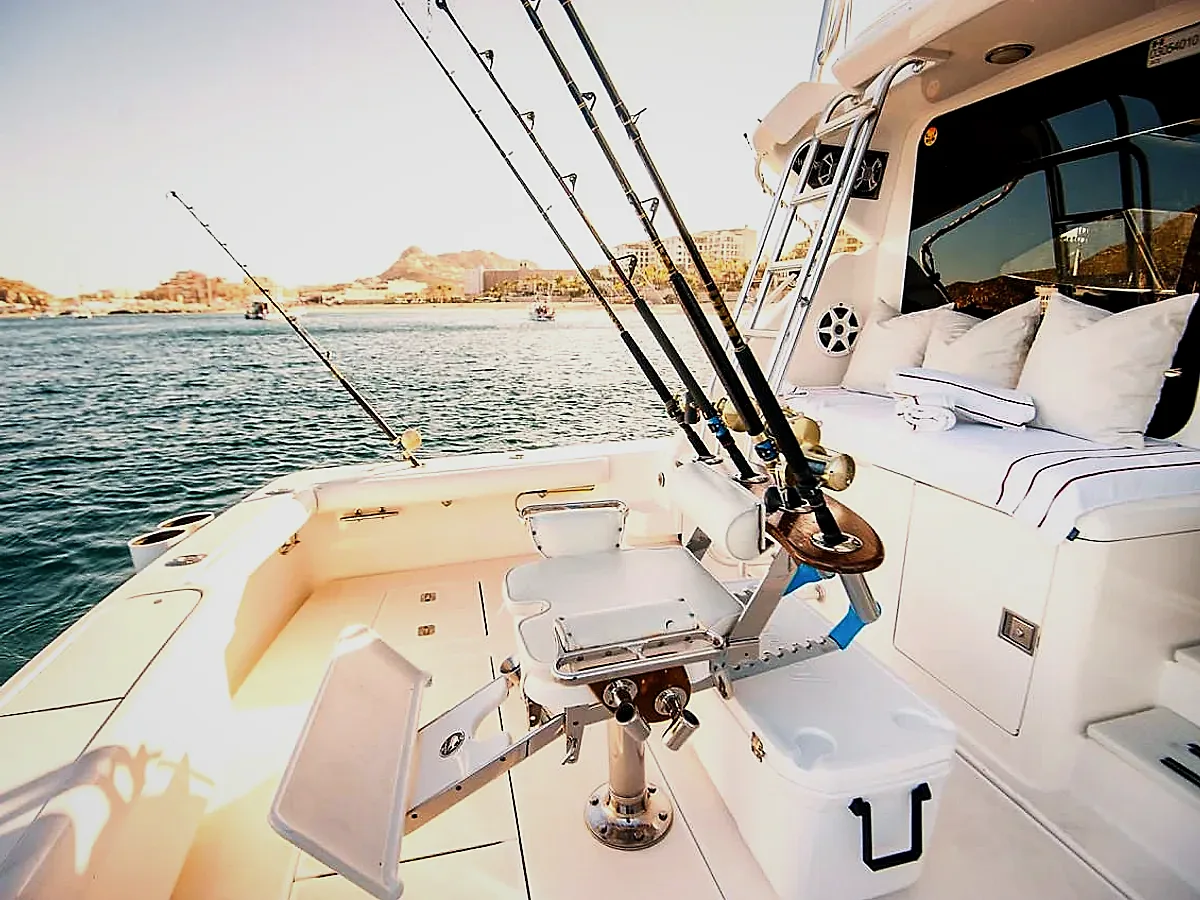 48ft Bertram fishing charter in Cabo San Lucas, photo 2