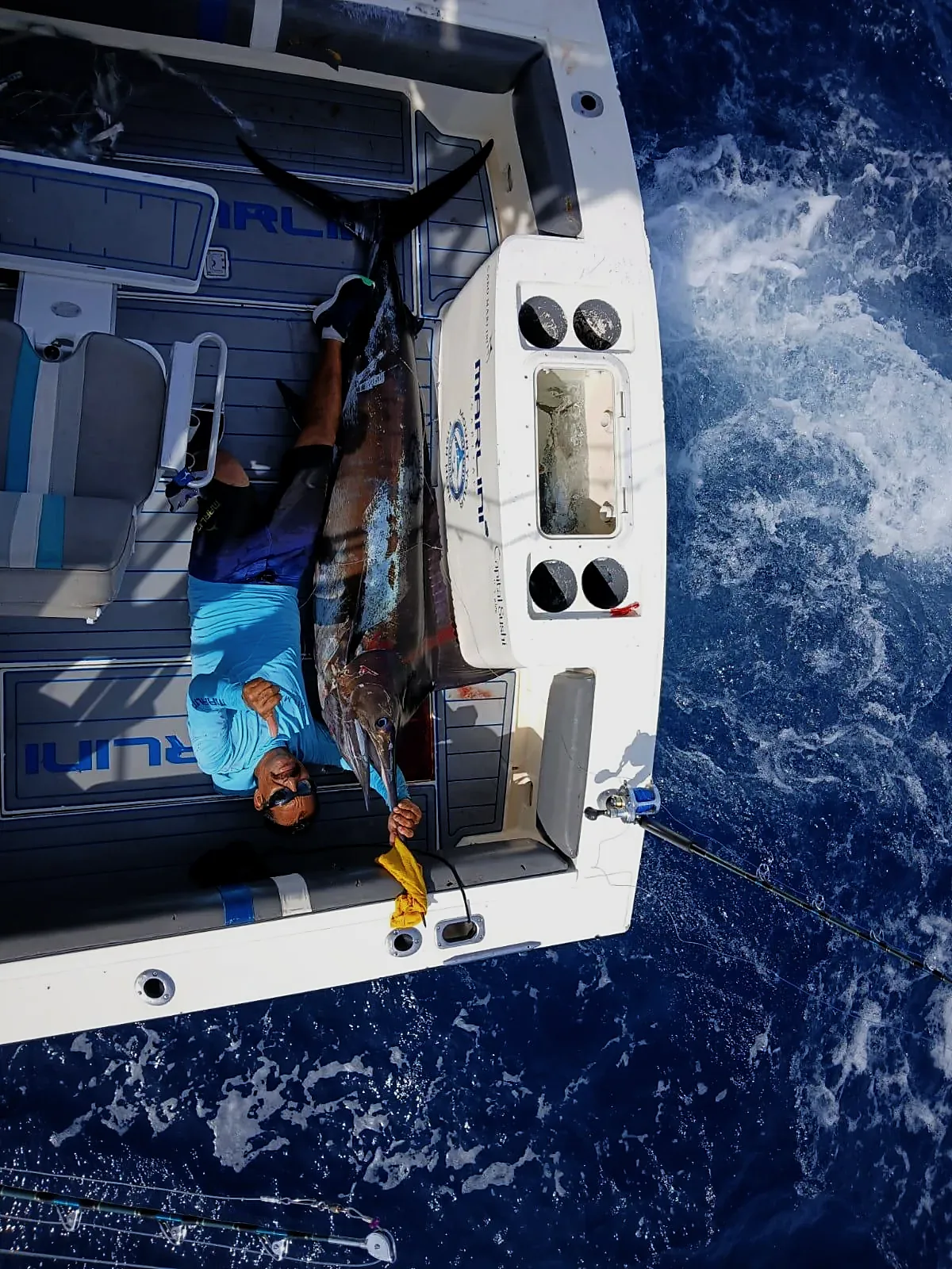 Descubre los Mejores Lugares para Pescar desde la Orilla en Cabo San Lucas para 2026