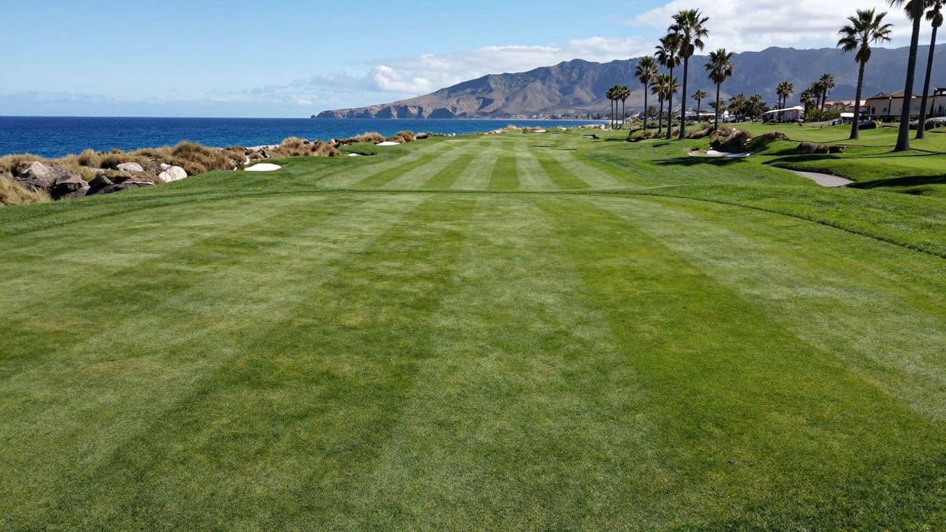 Best Public Golf Courses in Cabo for Visitors
