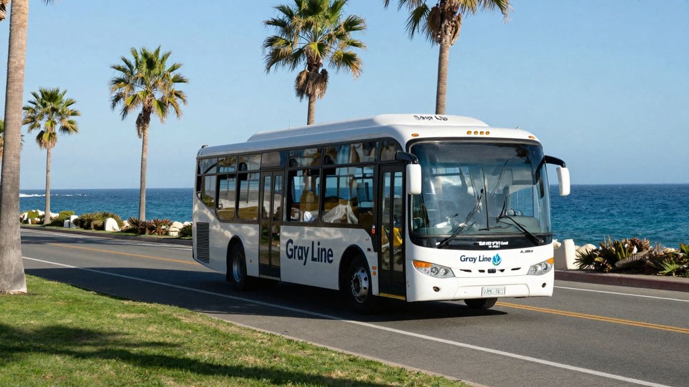Cabo Airport Transportation: Uber, Shuttles & Best Options