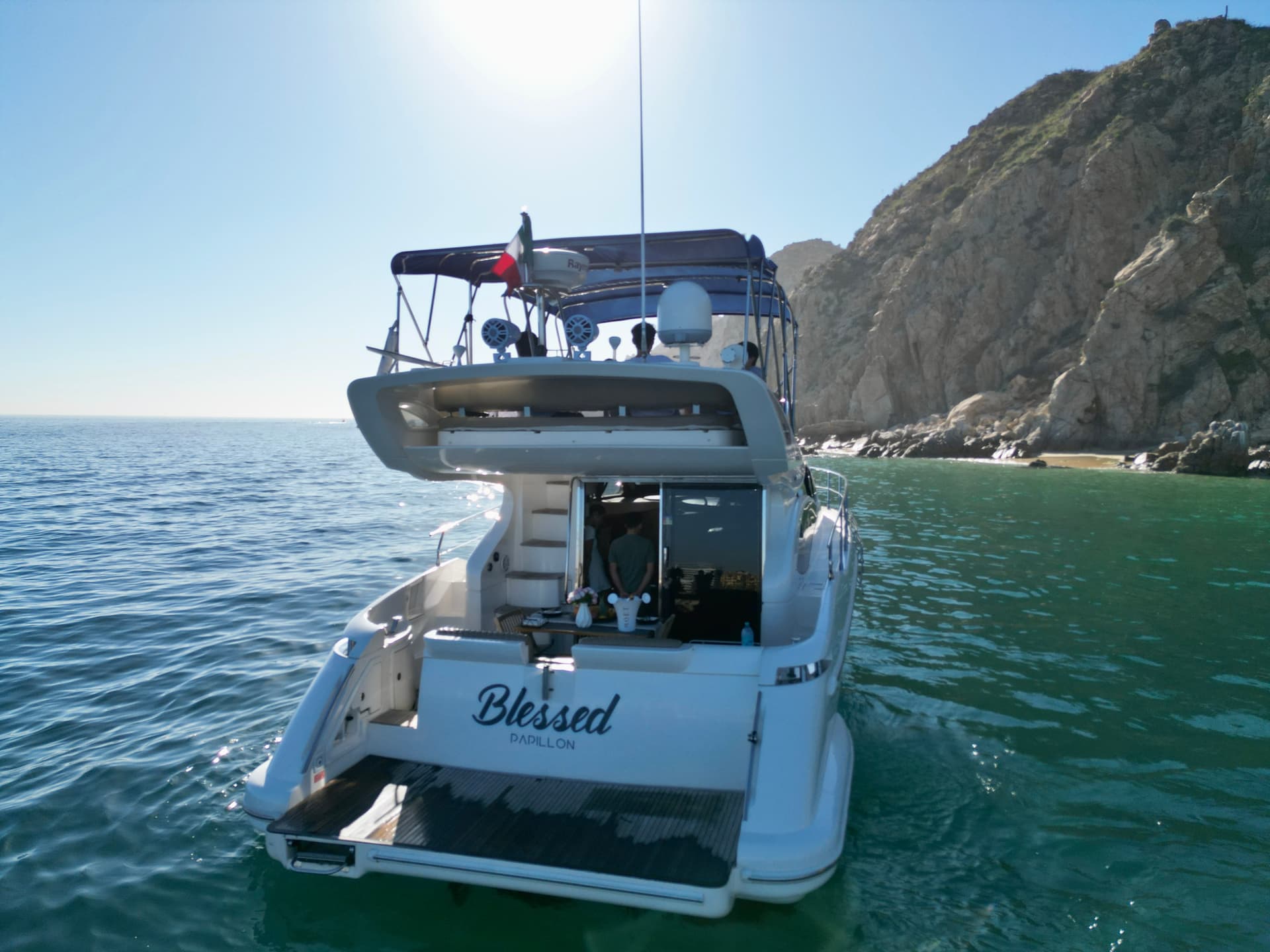 Cabo Whale Watching 2026-2026: When & Where to See Them