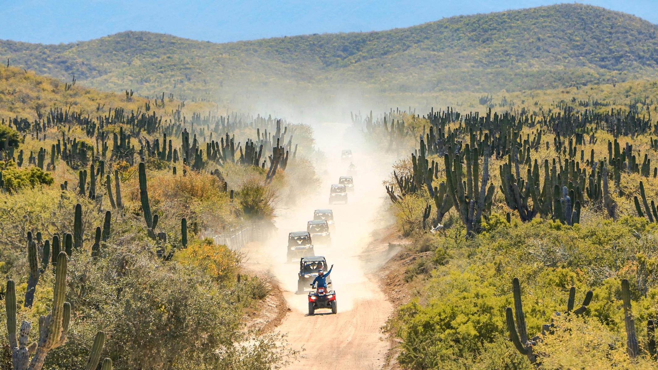 A line of ATVs on a desert trail through cactus country near Cabo