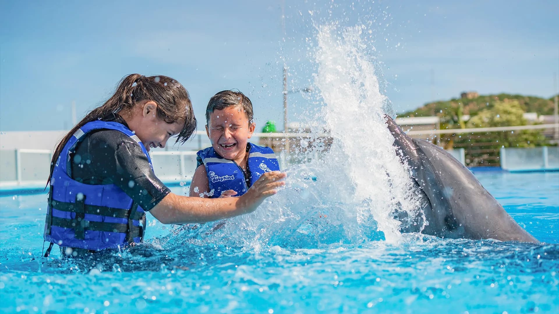 Cabo's Underwater Symphony: The Best Snorkeling Near Couples in 2026