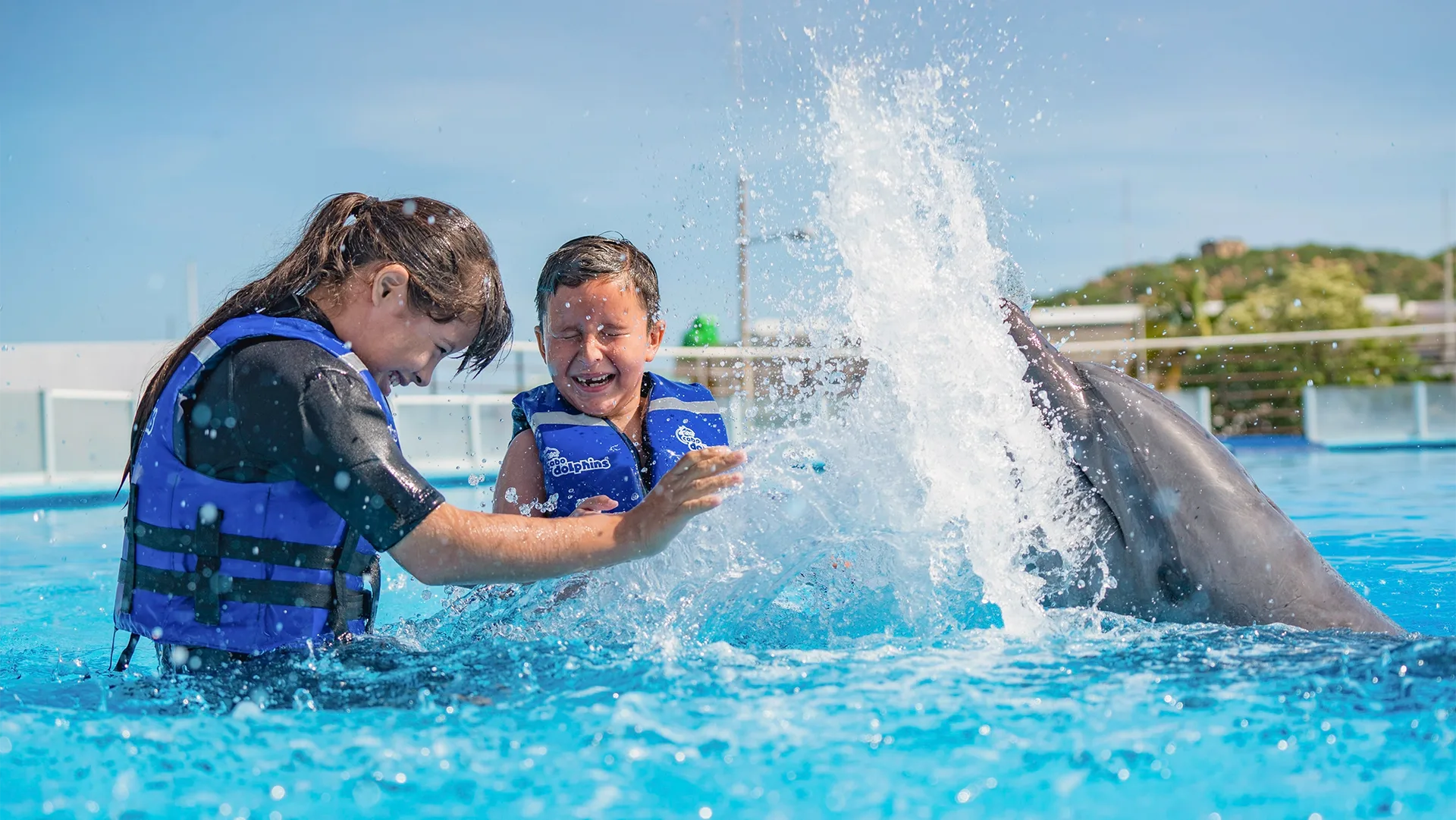 Family Cabo Dolphin Experience en Los Cabos, foto 2