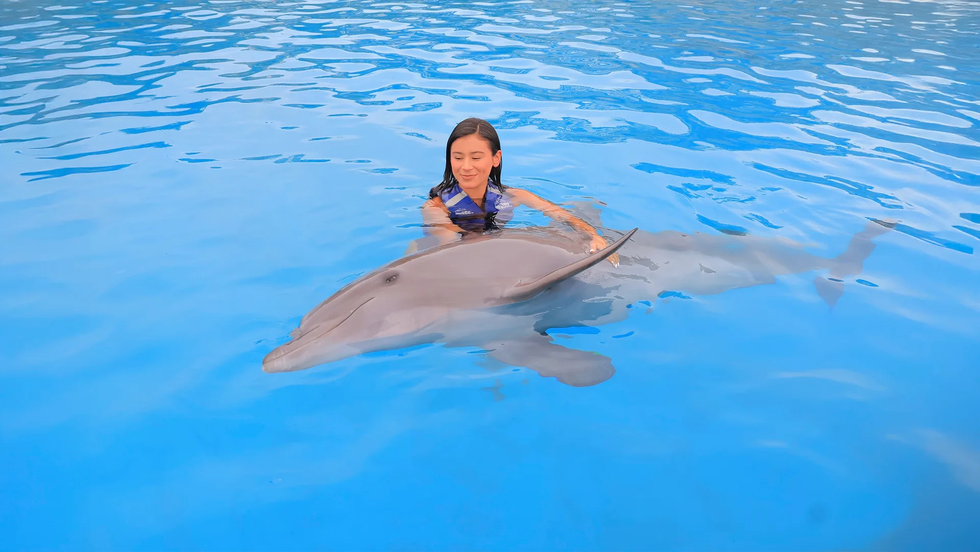 Family Cabo Dolphin Experience en Los Cabos, foto 3
