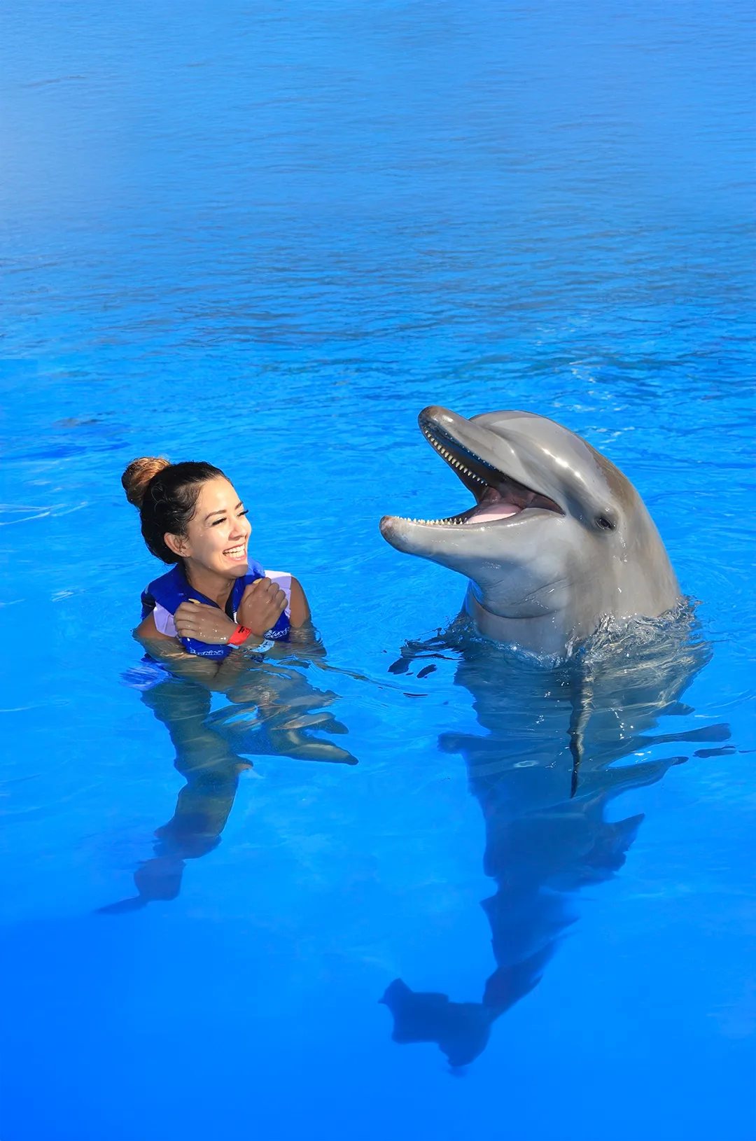 Signature Cabo Dolphin Swim en Los Cabos, foto 5