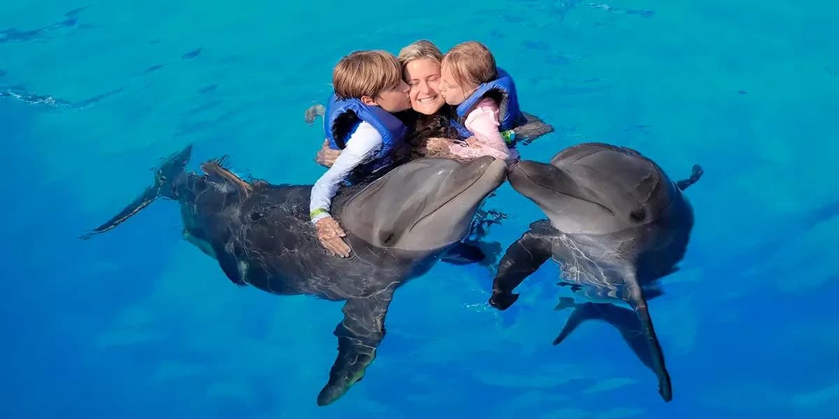 Deep Dives & Romantic Vows: Your 2026 Couples Diving Guide to Cabo