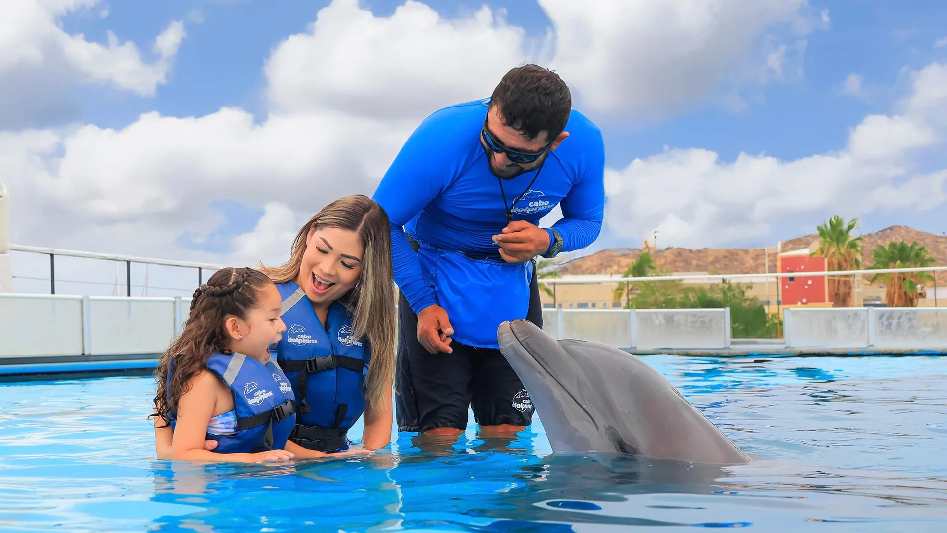 Dolphin trainer at Experience the Magic: Your 2026 Guide to Night Snorkeling in Cabo San Lucas feeding dolphin in pool