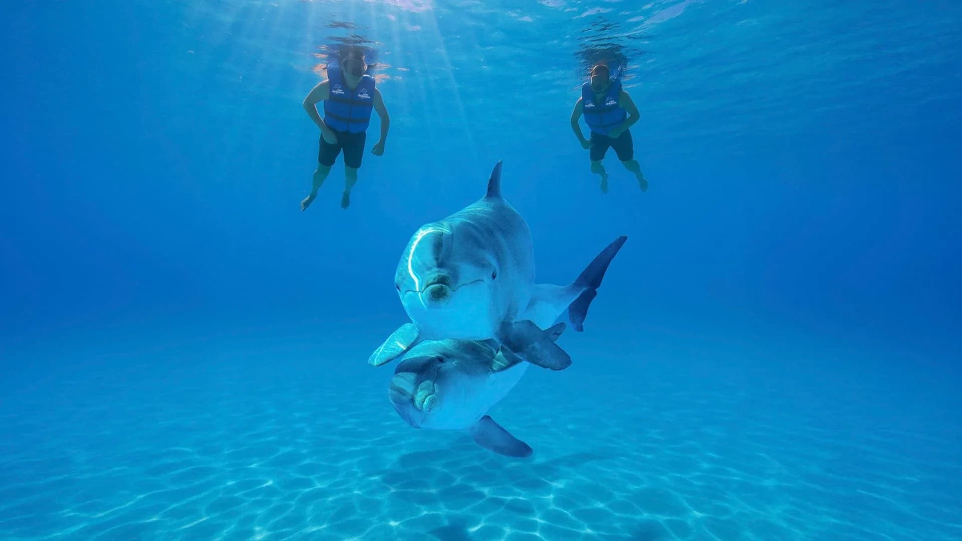 Private Tour vs Group Tour in Cabo: What You Actually Get