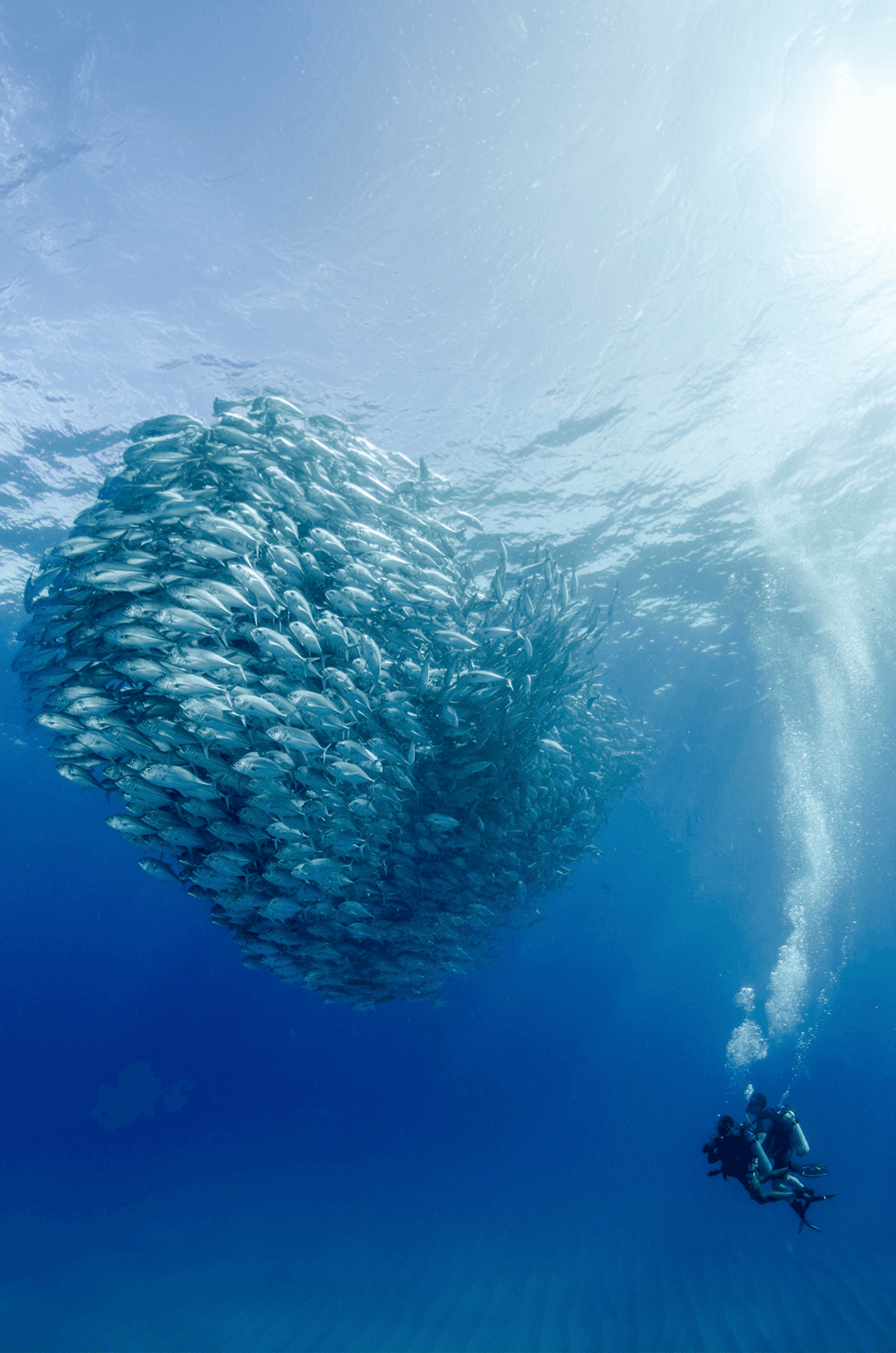 Your 2026 Essential Guide to Cell Phone Data Plans in Cabo San Lucas