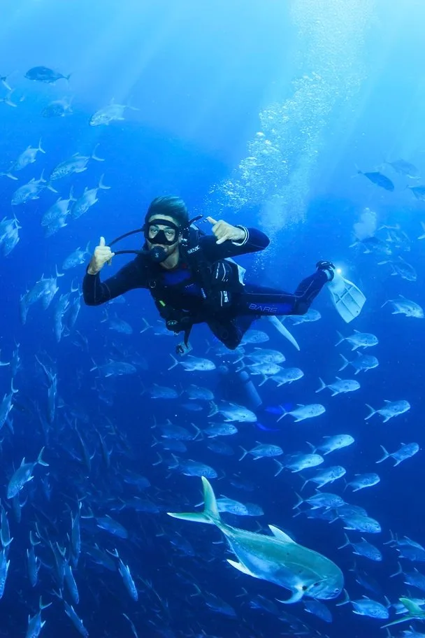 Cabo Scuba Diving at Land's End