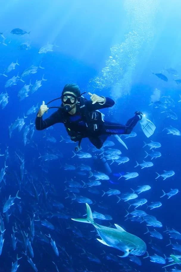 Cabo Scuba Diving at Land's End