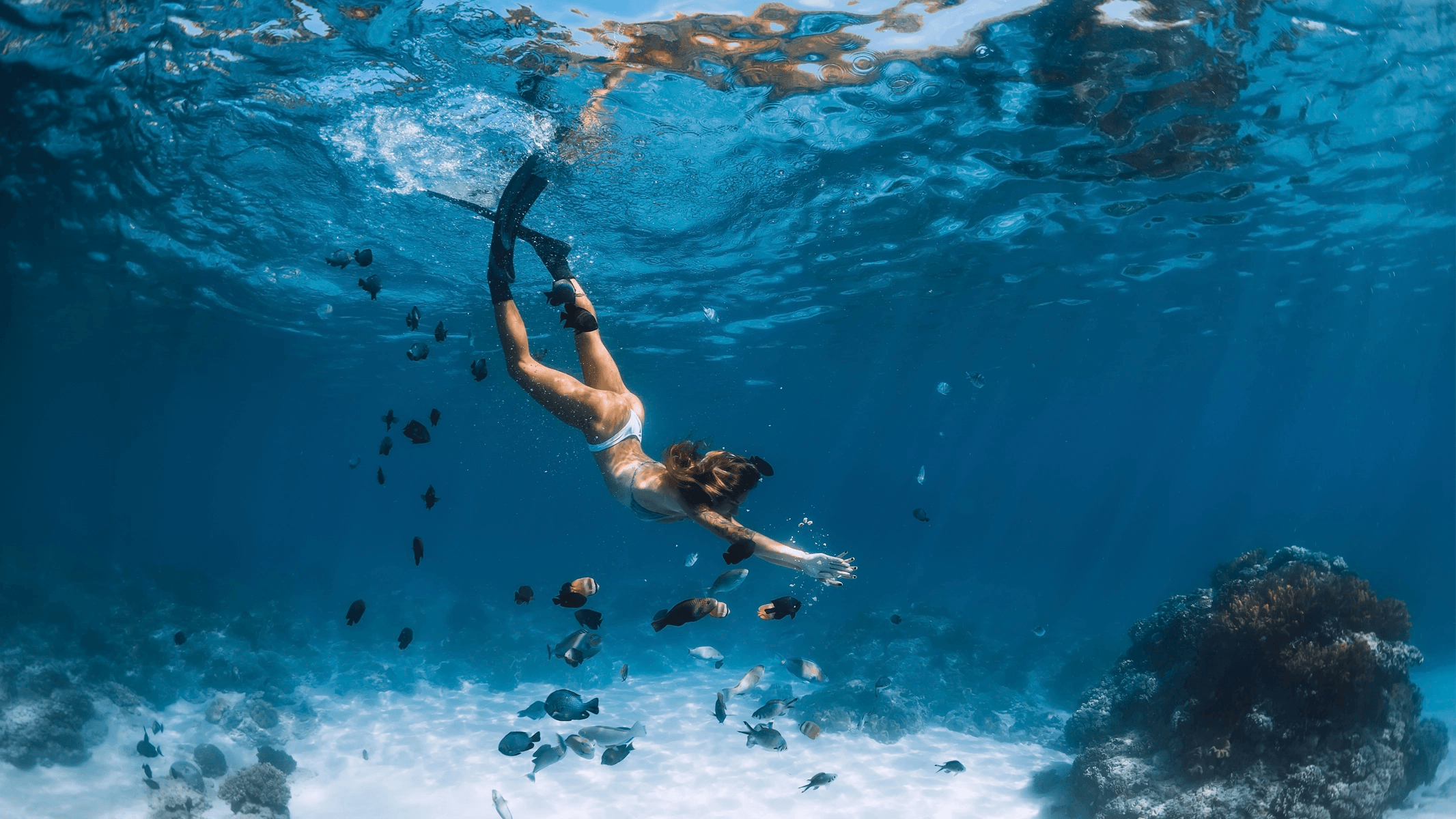 Snorkeler swimming with fish near Land's End, Cabo San Lucas