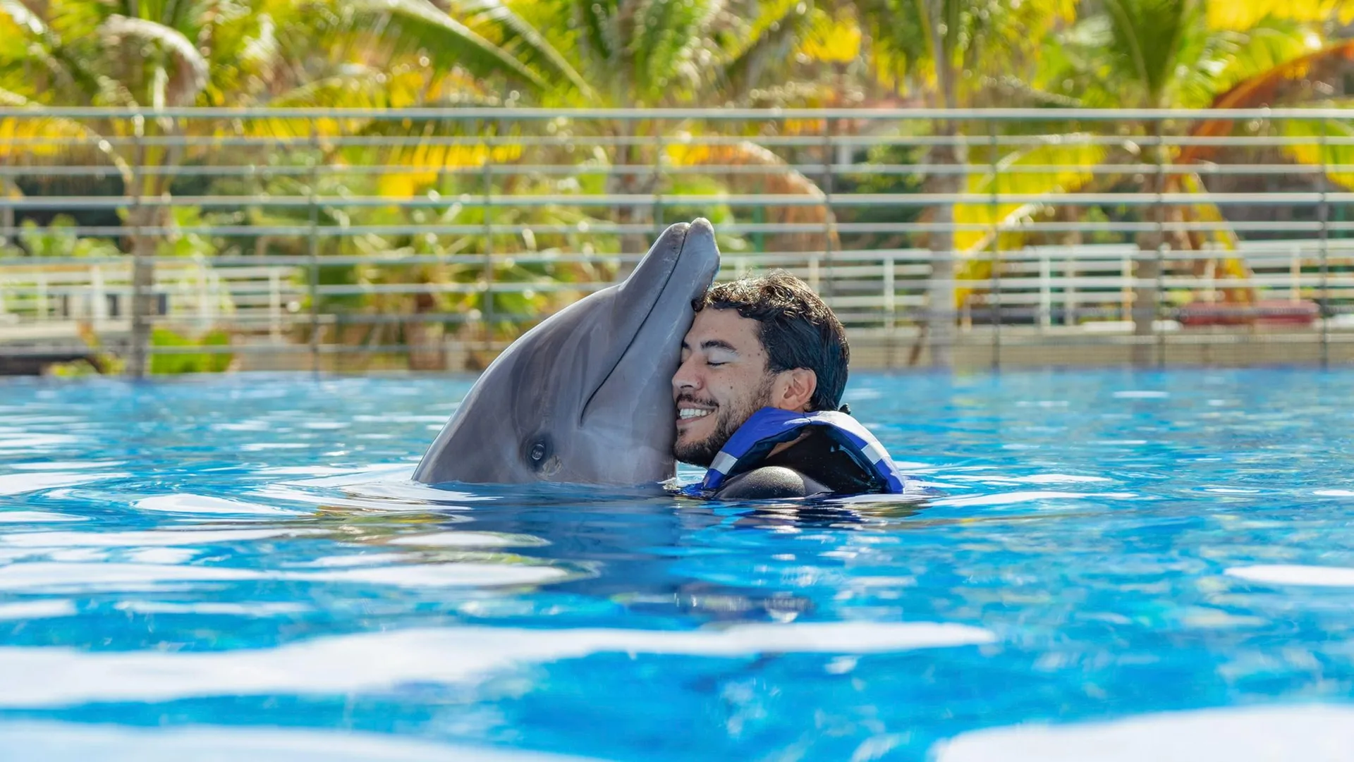 Man dolphin hug at Beyond 'Hola': Mastering the Cabo Language & Essential Spanish Phrases for the Real Deal in blue water