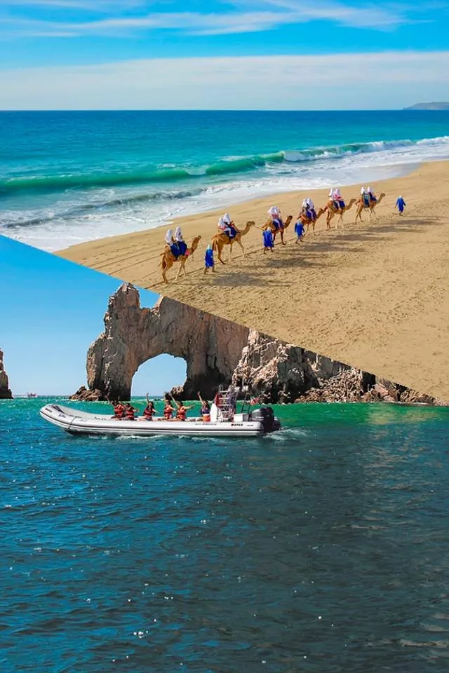 Camels + Arch + Lunch