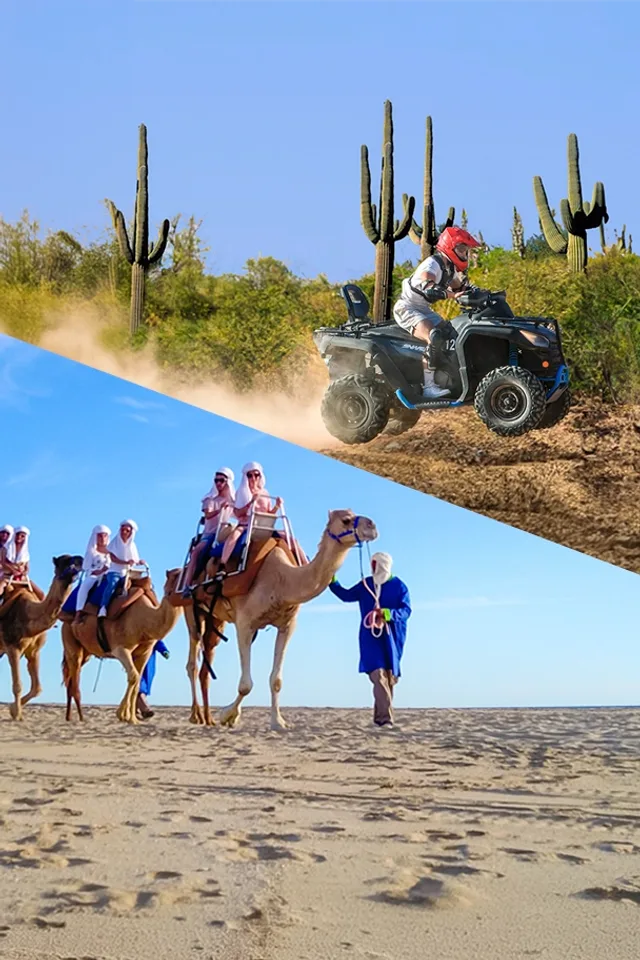 Camels + ATV + Lunch