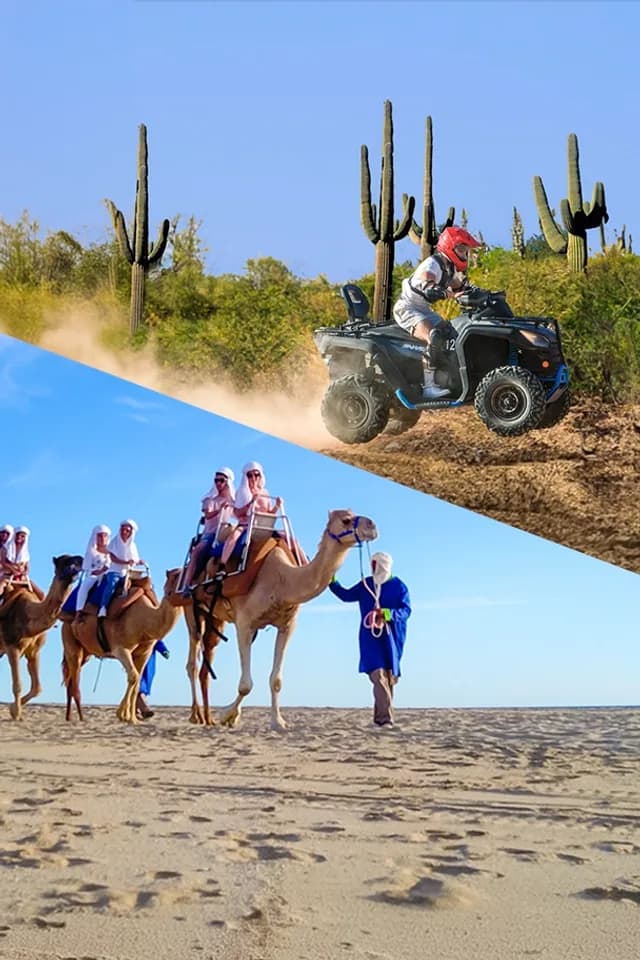 Camels + ATV + Lunch - adventure in Cabo San Lucas