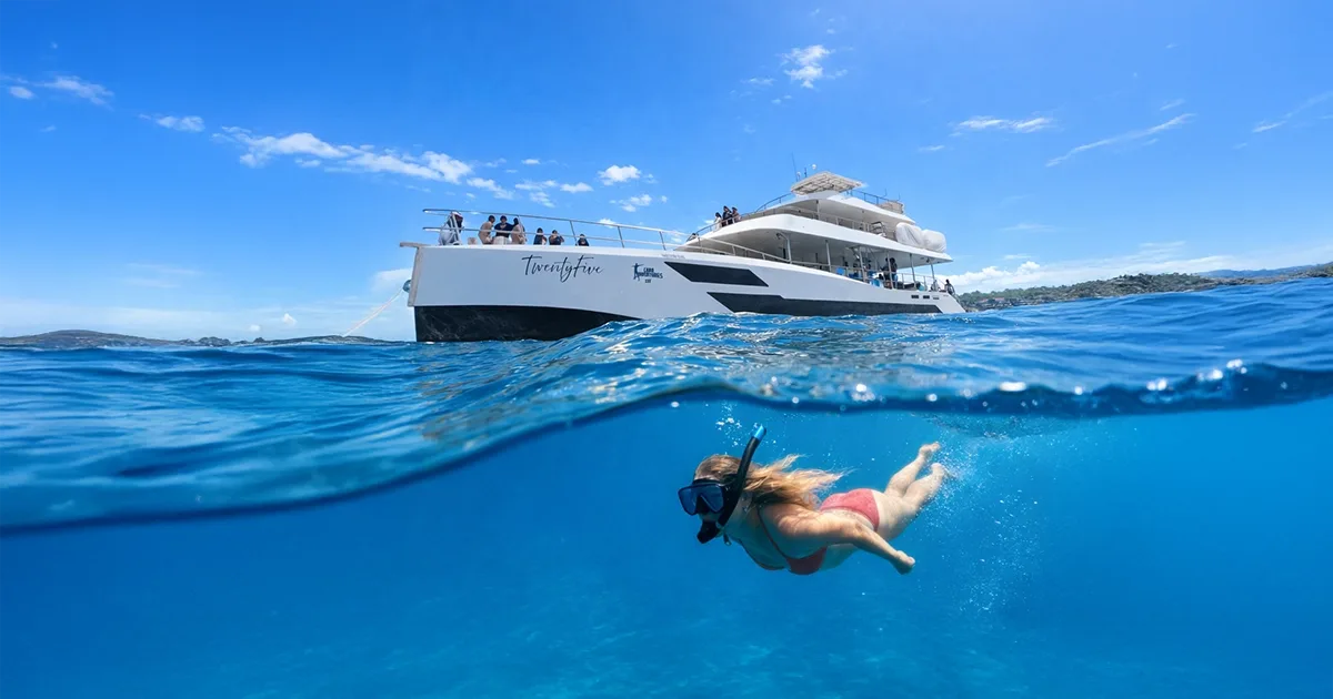Luxury Snorkel Catamaran Cruise en Los Cabos, foto 5