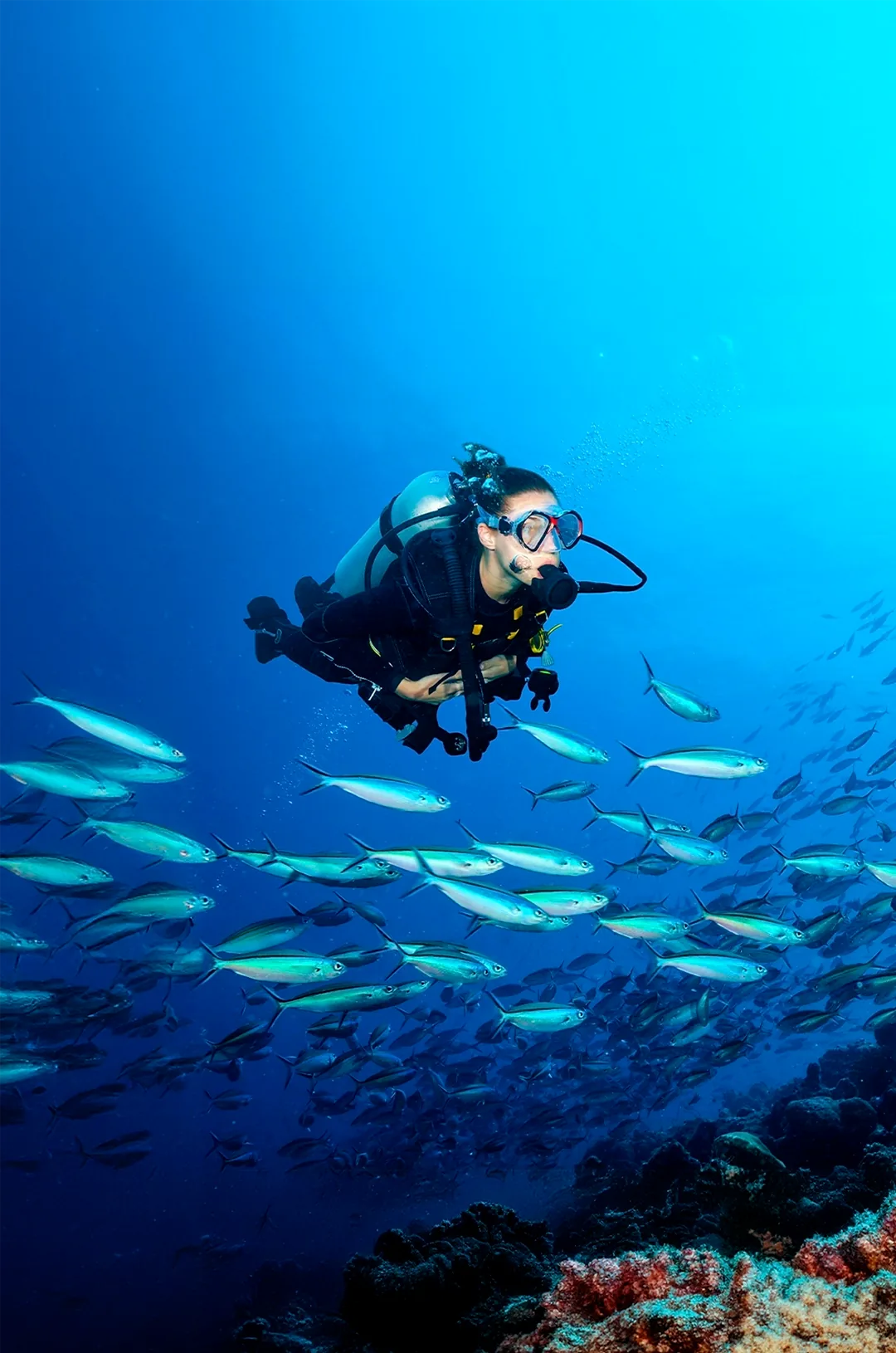 PADI Discover Scuba Diving in Cabo en Los Cabos, foto 2