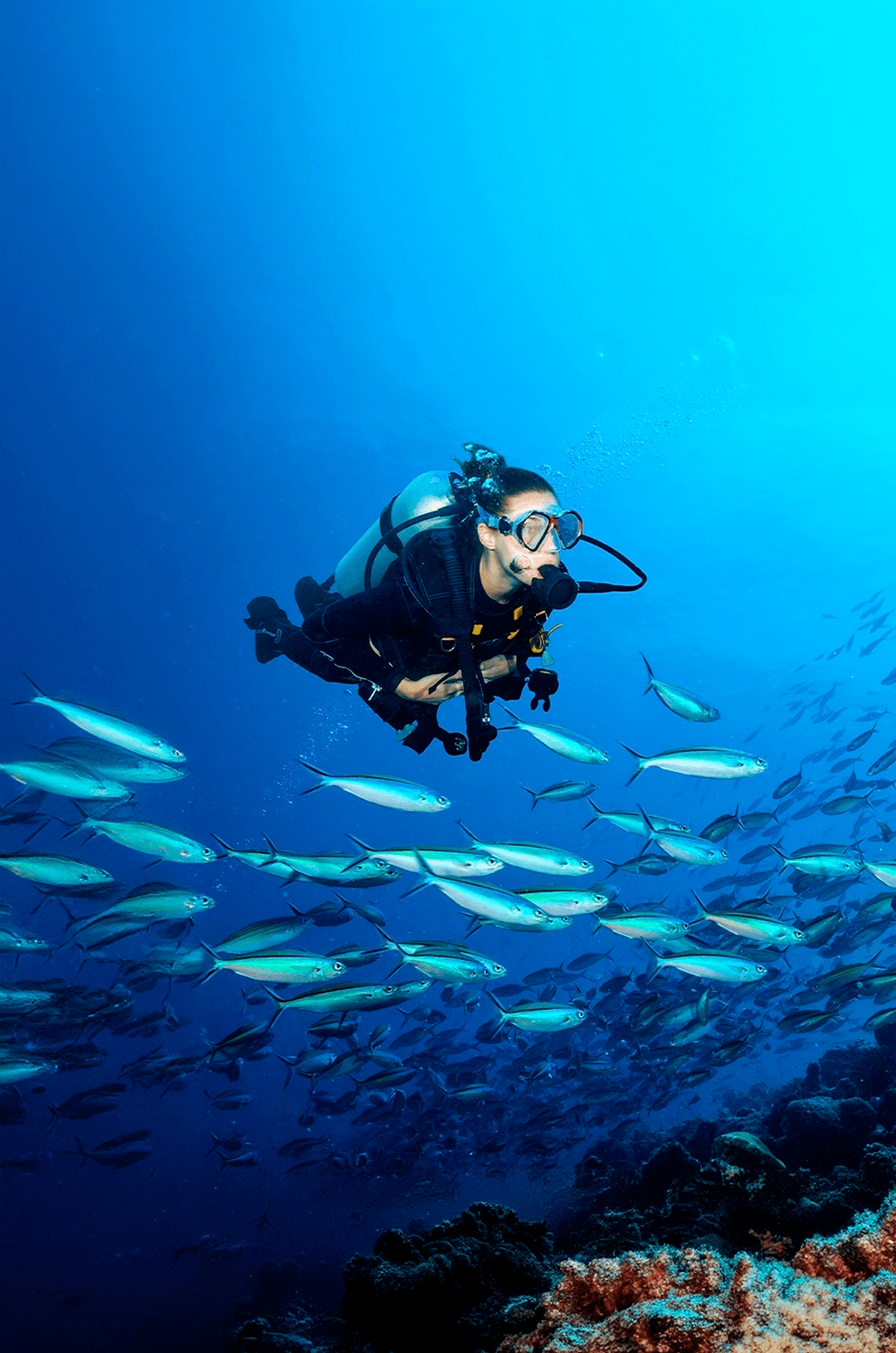 Your 2026 Guide to Thrilling Cabo Adventures in Cabo San Lucas