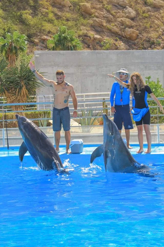 Dolphin Trainer for a Day