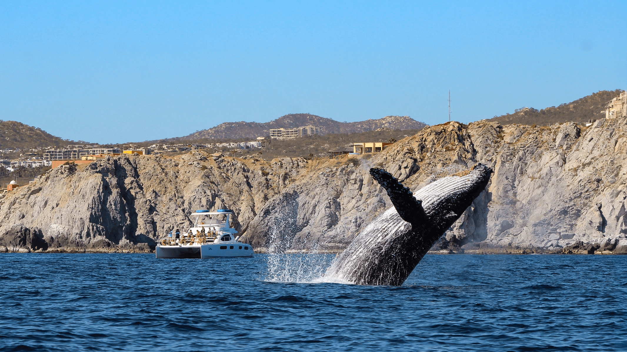Cabo excursions, sorted