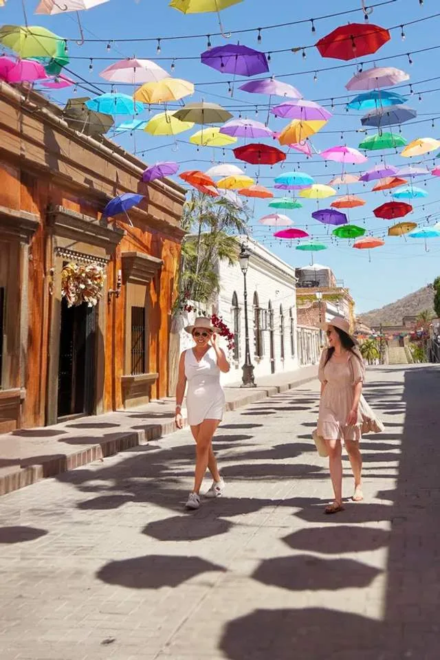 Magical Todos Santos & Camels