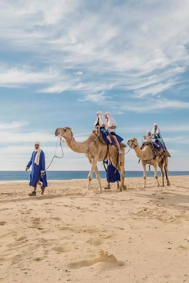 Outback & Cabo Camel Ride