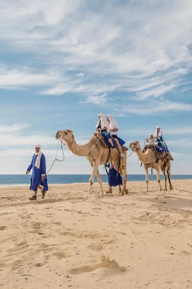 Outback & Cabo Camel Ride