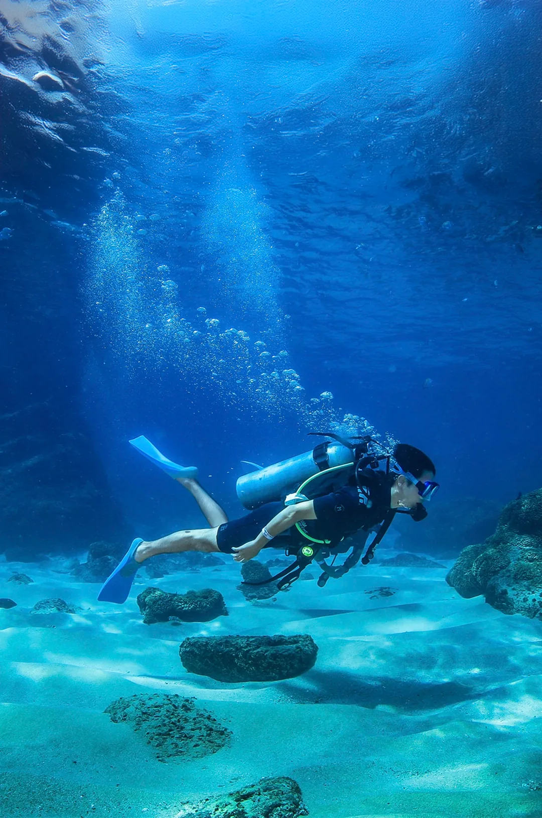PADI Open Water Diver Certification, aventura en Cabo San Lucas