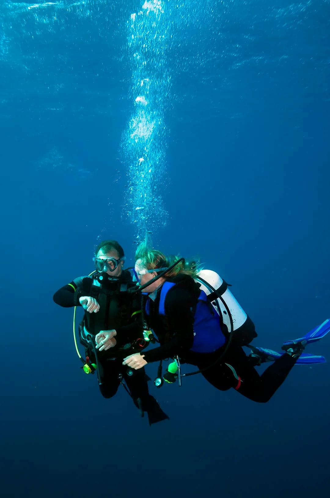 Scuba divers 2 at A Local's Obsessive Guide to the Mejores Restaurantes de Los Cabos for 2026: Beyond the Brochure close up