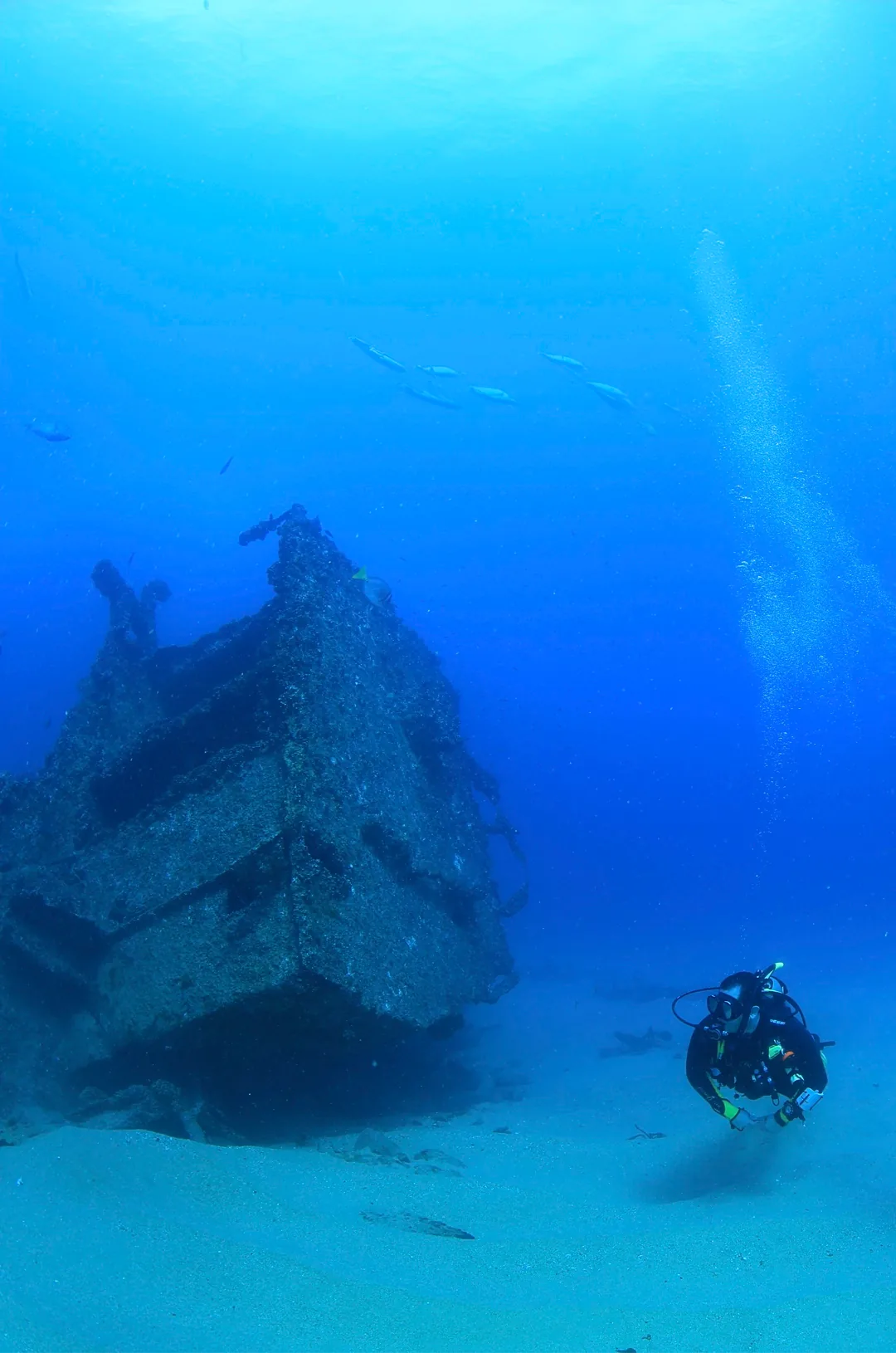 PADI Open Water Diver Certification en Los Cabos, foto 4