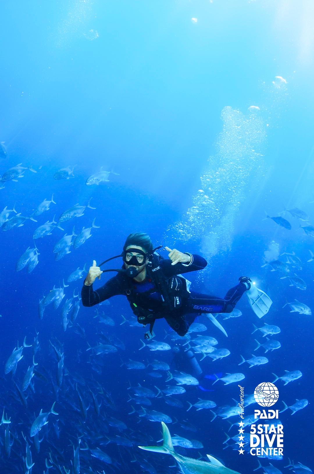 Scuba Diving at Land's End & The Arch