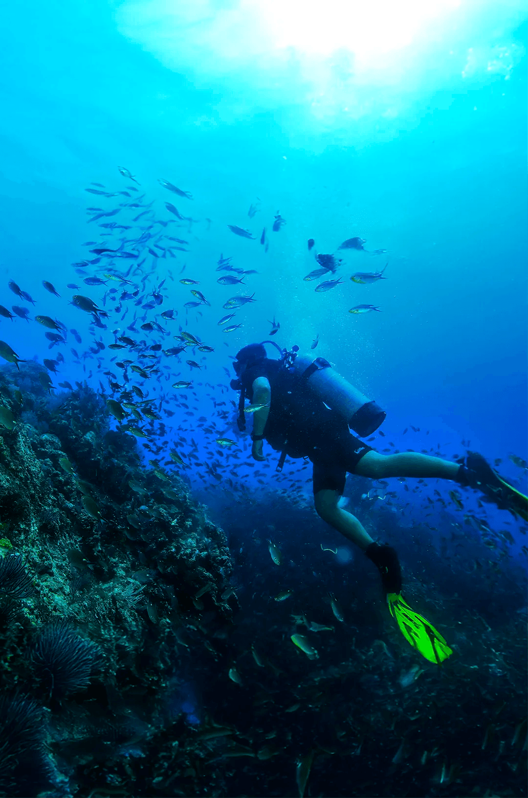 Unforgettable Things to Do in Cabo San Lucas: Your 2026 Ultimate Guide