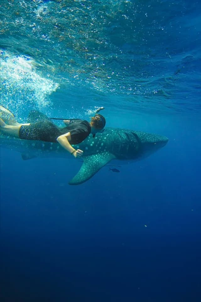 Your Ultimate 2026 Guide to Everything In Cabo San Lucas