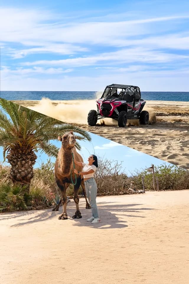 Family Fishing in Cabo San Lucas: Your 2026 Ultimate Guide