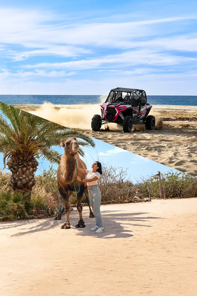 UTV Off Road + Camel Tour