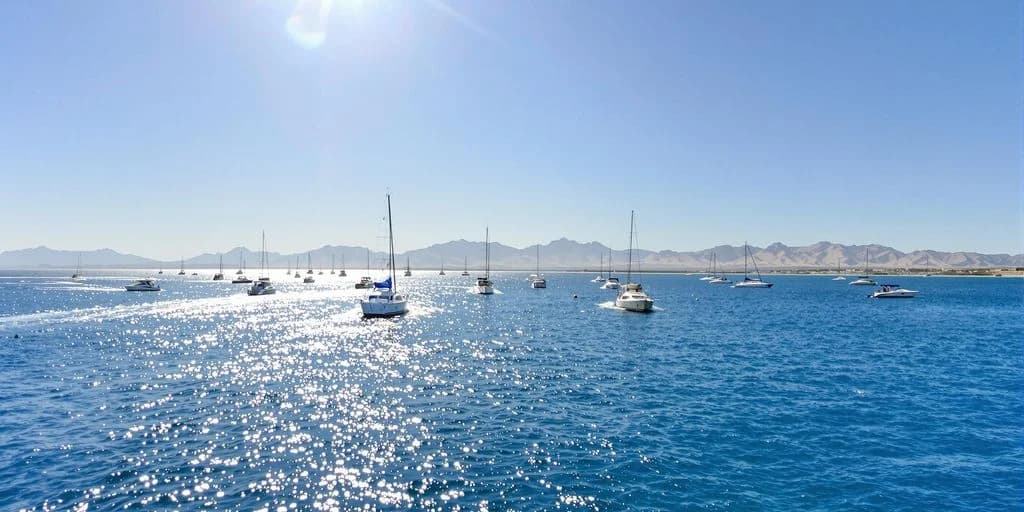Boats at anchor at Cabo Activities Reviewed: What You Need to Know on calm water, mountains beyond