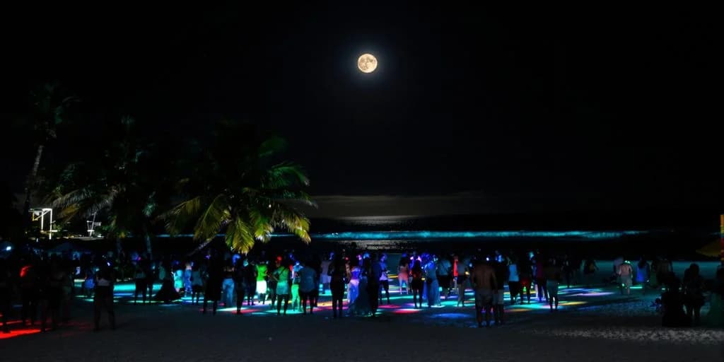 Full moon party at Cabo Nightlife Itinerary: What You Need to Know people on beach under bright moon
