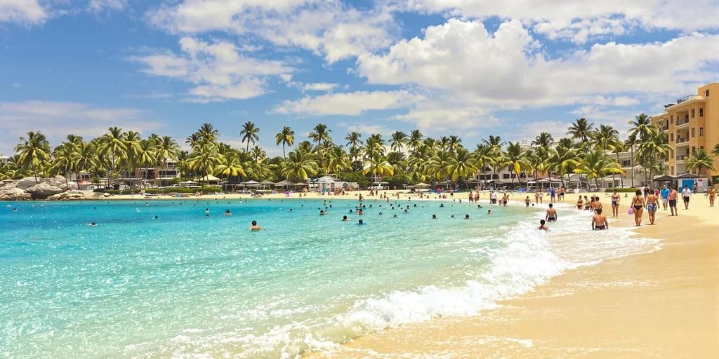 Beach scene at Cabo Things To Do Guide: What You Need to Know with many people, palm trees