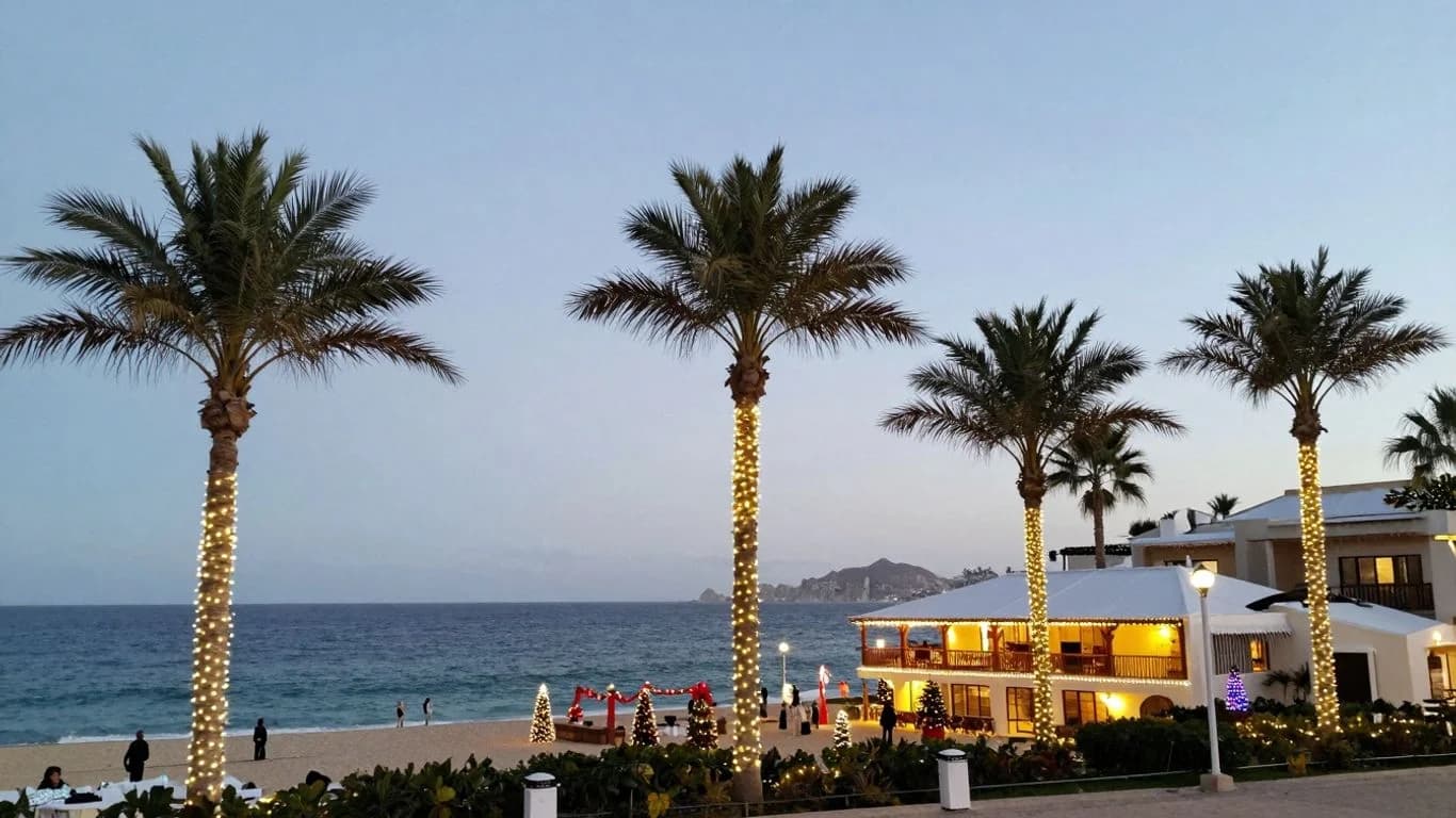 Christmas in Cabo 2026: Events, Dinners & What to Expect