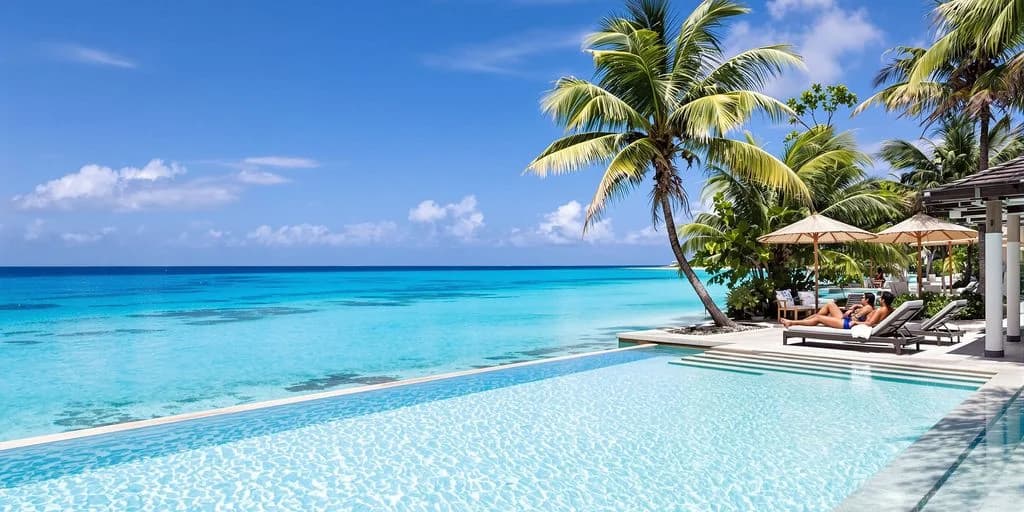 Infinity pool at Los Cabos All-Inclusive Resorts Starting at $400/Night Per Couple with palm tree, ocean beyond