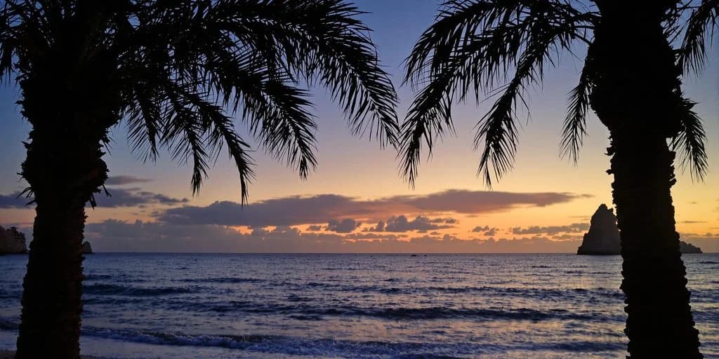 Ocean sunset at Los Cabos On A Budget: What You Need to Know under palm tree silhouettes